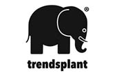 Trendsplant