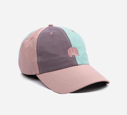 Logo Dad Cap