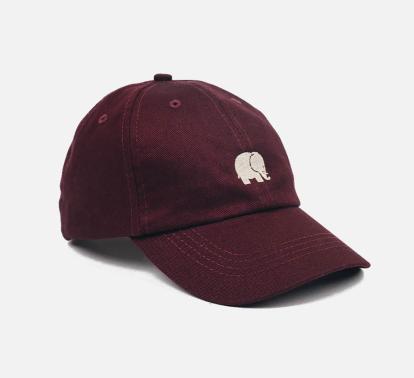 Logo Dad Cap